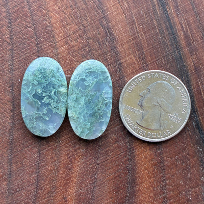 Moss Agate - Cabochon Pair - Oval - Teardrop