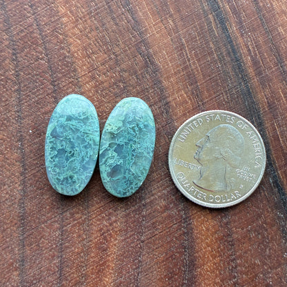 Moss Agate - Cabochon Pair - Oval - Teardrop