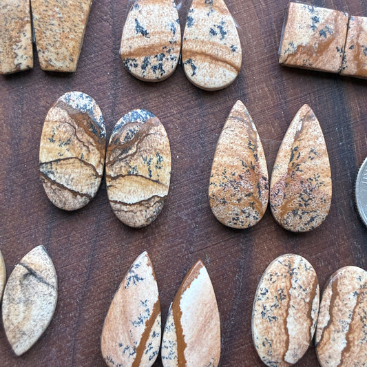 Picture Jasper - Cabochon Pair - Oval - Teardrop - Square - coffin