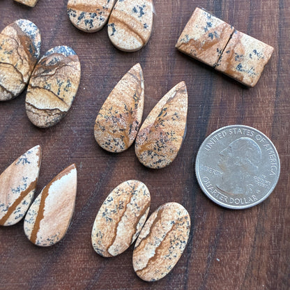 Picture Jasper - Cabochon Pair - Oval - Teardrop - Square - coffin