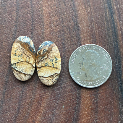 Picture Jasper - Cabochon Pair - Oval - Teardrop - Square - coffin