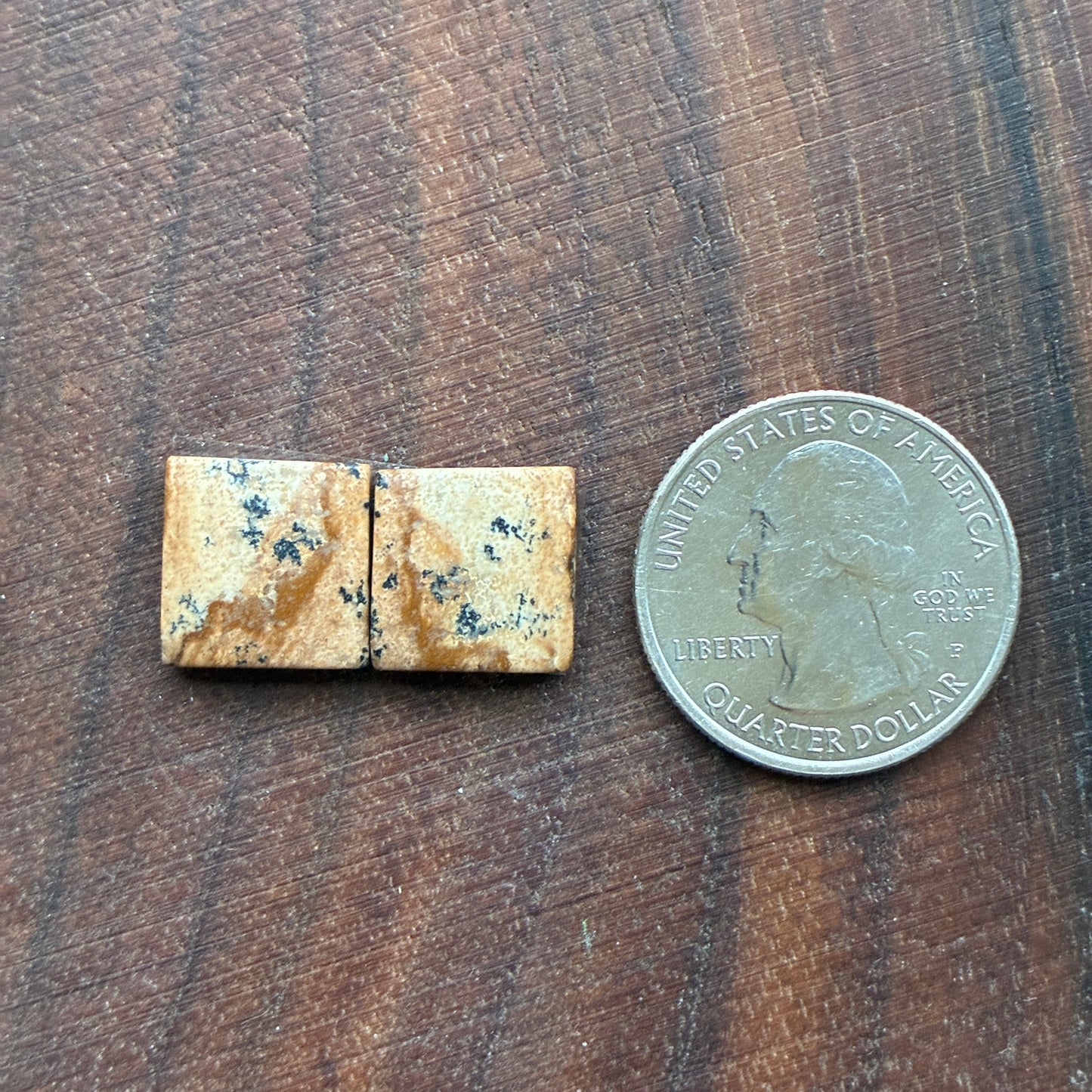Picture Jasper - Cabochon Pair - Oval - Teardrop - Square - coffin
