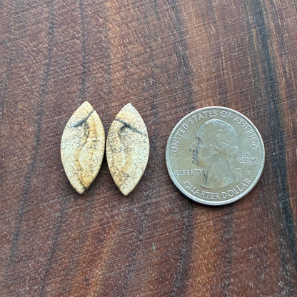 Picture Jasper - Cabochon Pair - Oval - Teardrop - Square - coffin