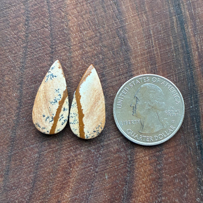 Picture Jasper - Cabochon Pair - Oval - Teardrop - Square - coffin