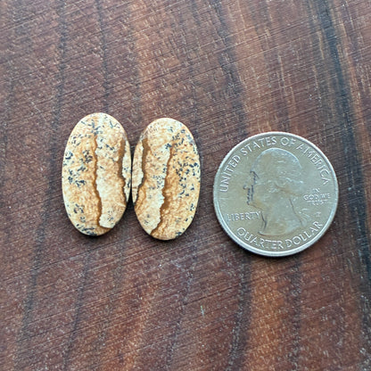 Picture Jasper - Cabochon Pair - Oval - Teardrop - Square - coffin