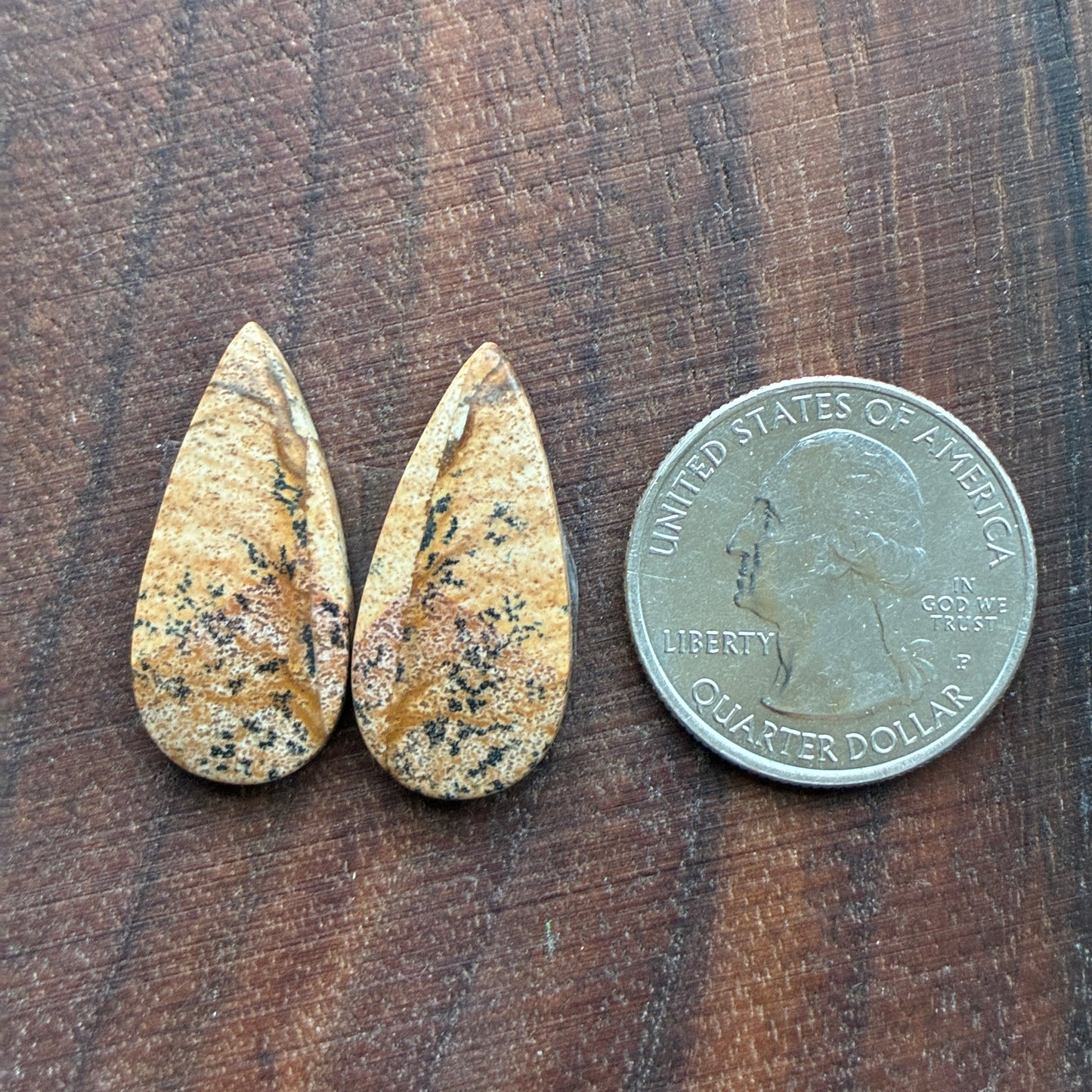 Picture Jasper - Cabochon Pair - Oval - Teardrop - Square - coffin