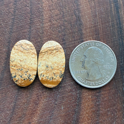 Picture Jasper - Cabochon Pair - Oval - Teardrop - Square - coffin