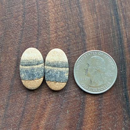 Picture Jasper - Cabochon Pair - Oval - Teardrop - Square - coffin