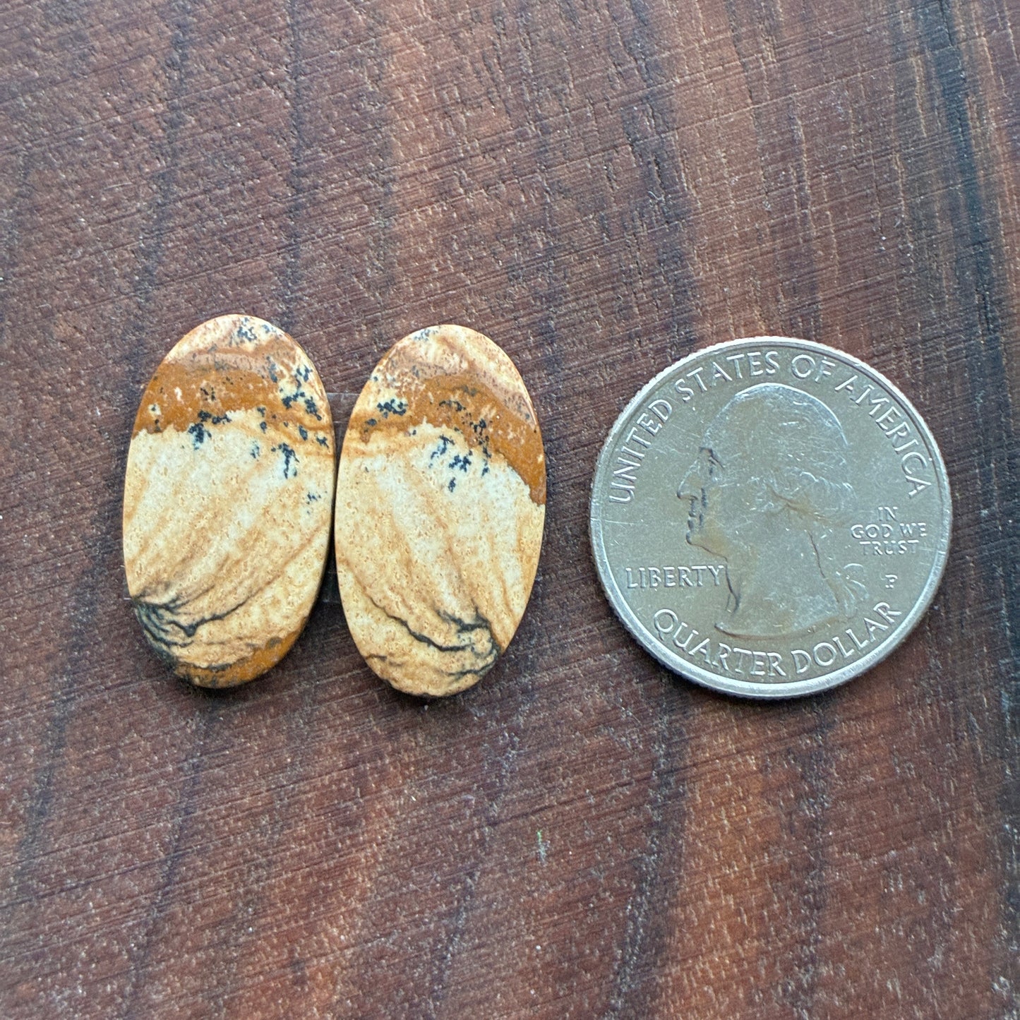 Picture Jasper - Cabochon Pair - Oval - Teardrop - Square - coffin