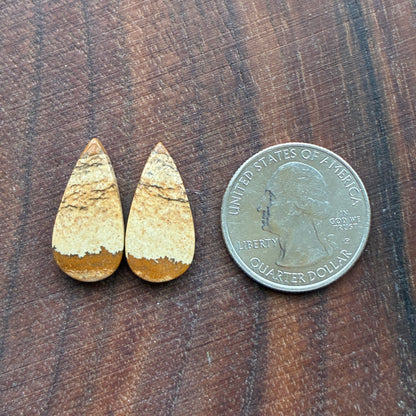 Picture Jasper - Cabochon Pair - Oval - Teardrop - Square - coffin
