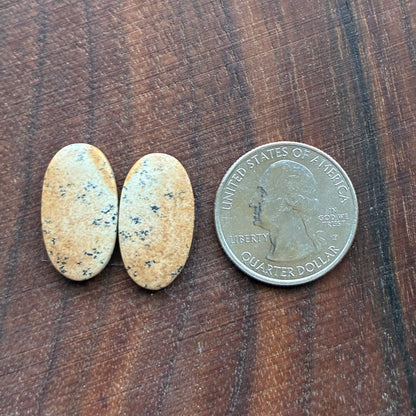 Picture Jasper - Cabochon Pair - Oval - Teardrop - Square - coffin