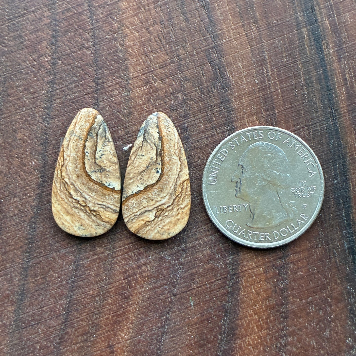 Picture Jasper - Cabochon Pair - Oval - Teardrop - Square - coffin