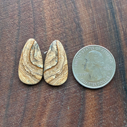 Picture Jasper - Cabochon Pair - Oval - Teardrop - Square - coffin