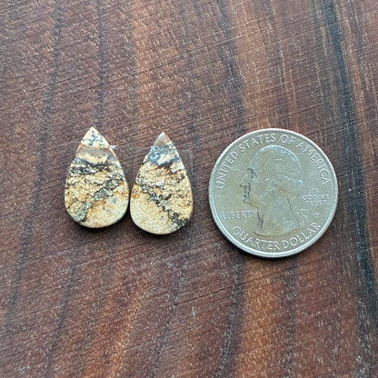 Picture Jasper - Cabochon Pair - Oval - Teardrop - Square - coffin