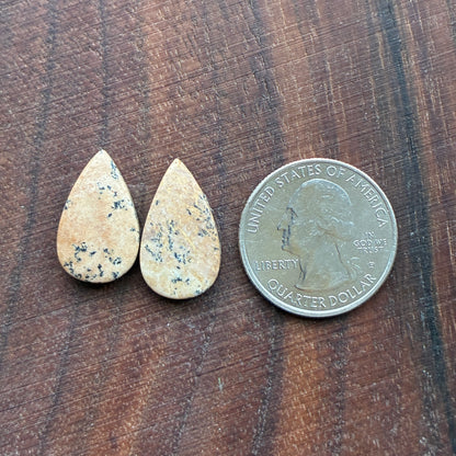 Picture Jasper - Cabochon Pair - Oval - Teardrop - Square - coffin
