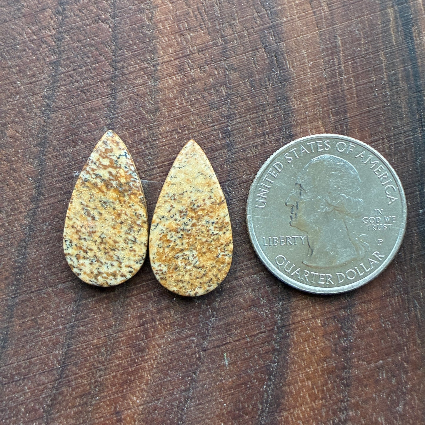 Picture Jasper - Cabochon Pair - Oval - Teardrop - Square - coffin