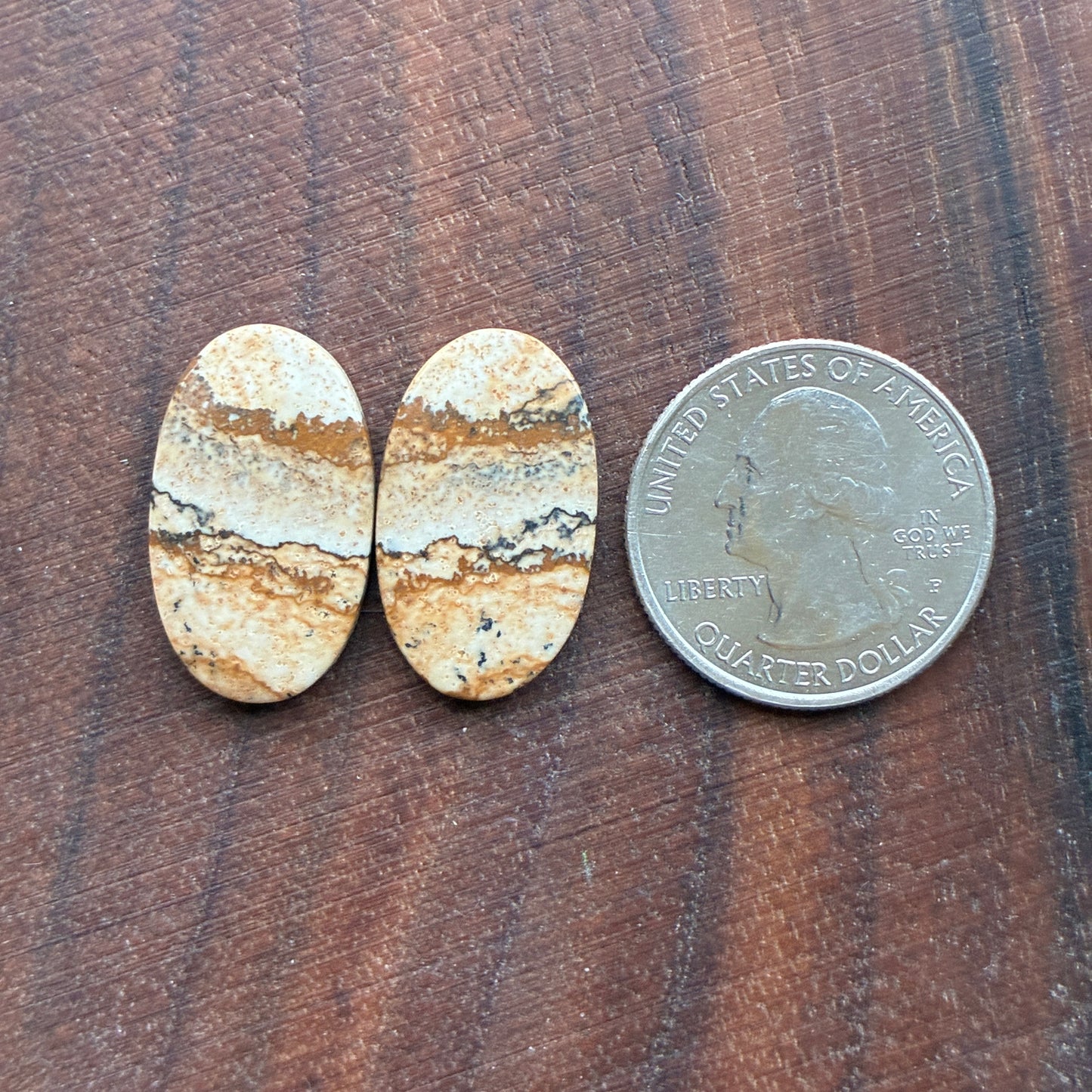 Picture Jasper - Cabochon Pair - Oval - Teardrop - Square - coffin
