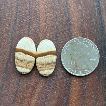 Picture Jasper - Cabochon Pair - Oval - Teardrop - Square - coffin