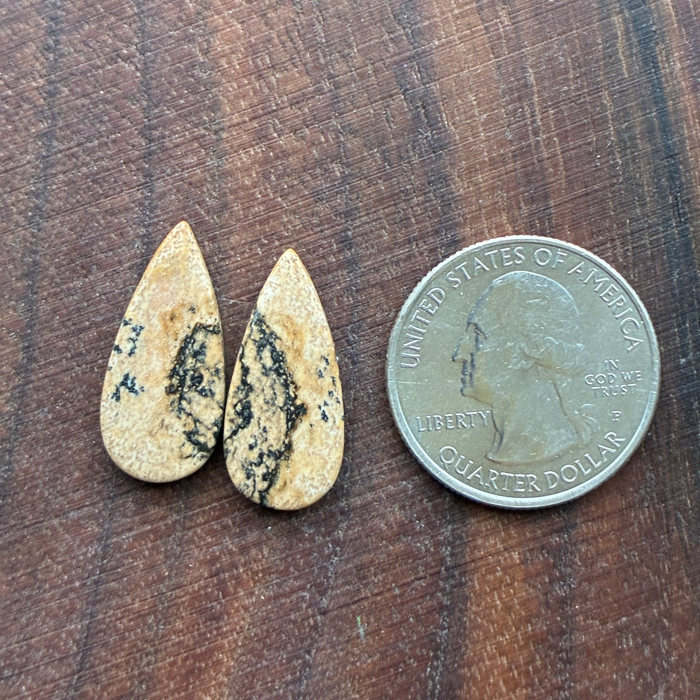 Picture Jasper - Cabochon Pair - Oval - Teardrop - Square - coffin