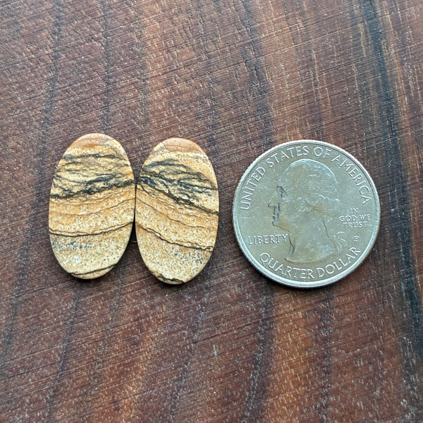 Picture Jasper - Cabochon Pair - Oval - Teardrop - Square - coffin