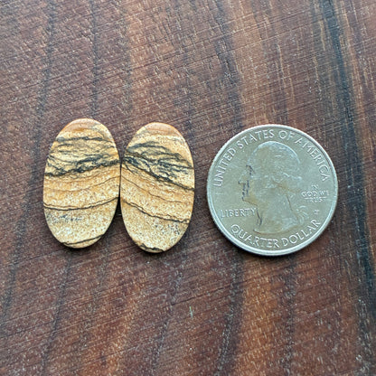 Picture Jasper - Cabochon Pair - Oval - Teardrop - Square - coffin