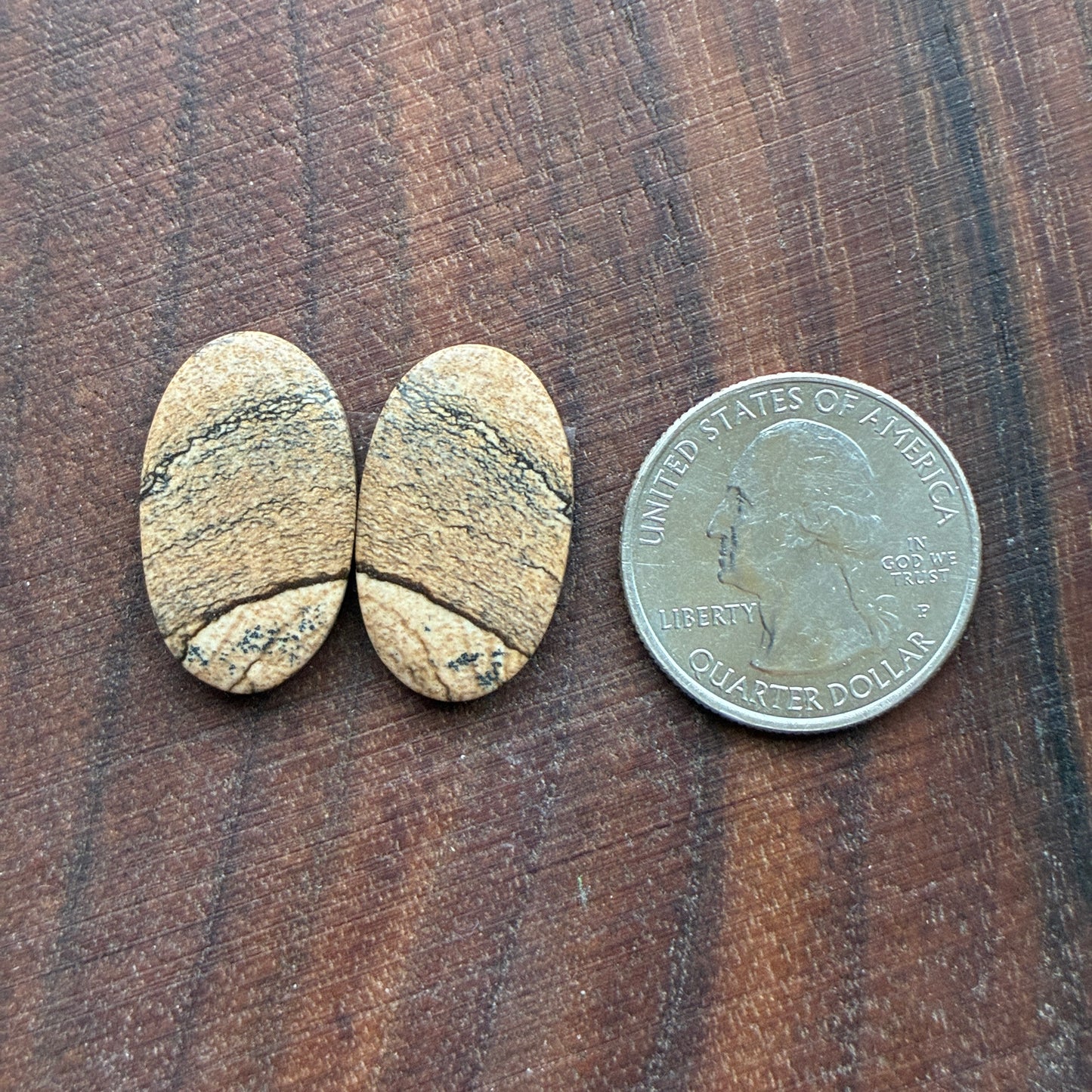 Picture Jasper - Cabochon Pair - Oval - Teardrop - Square - coffin
