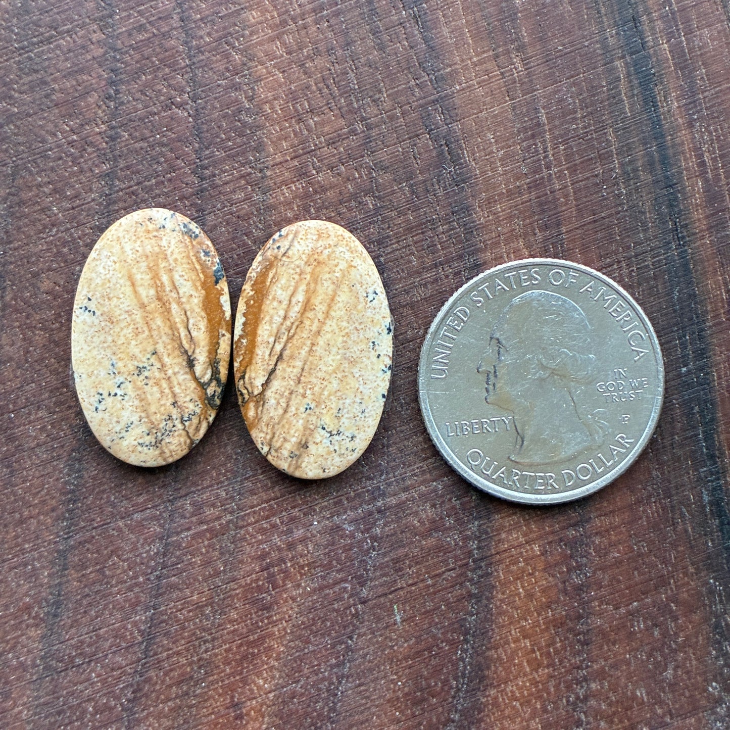 Picture Jasper - Cabochon Pair - Oval - Teardrop - Square - coffin