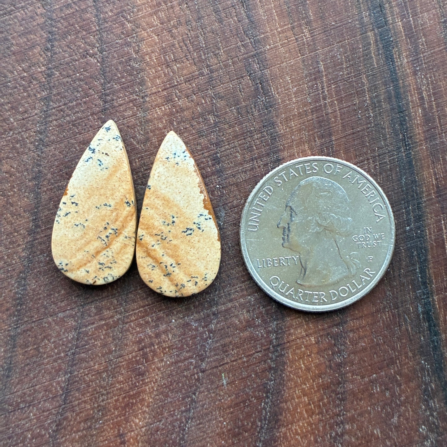 Picture Jasper - Cabochon Pair - Oval - Teardrop - Square - coffin