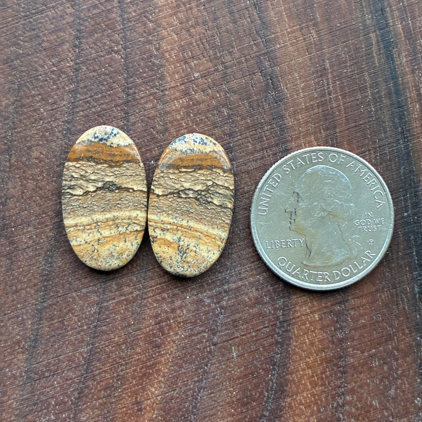 Picture Jasper - Cabochon Pair - Oval - Teardrop - Square - coffin