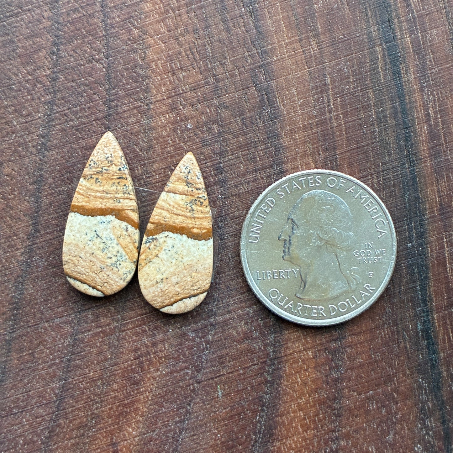 Picture Jasper - Cabochon Pair - Oval - Teardrop - Square - coffin