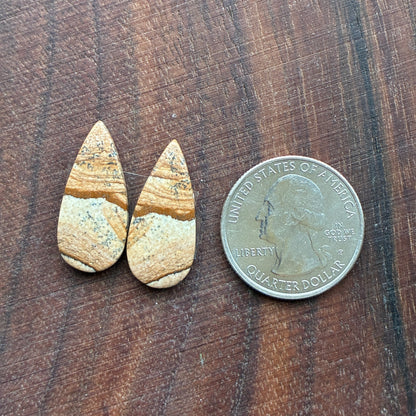 Picture Jasper - Cabochon Pair - Oval - Teardrop - Square - coffin