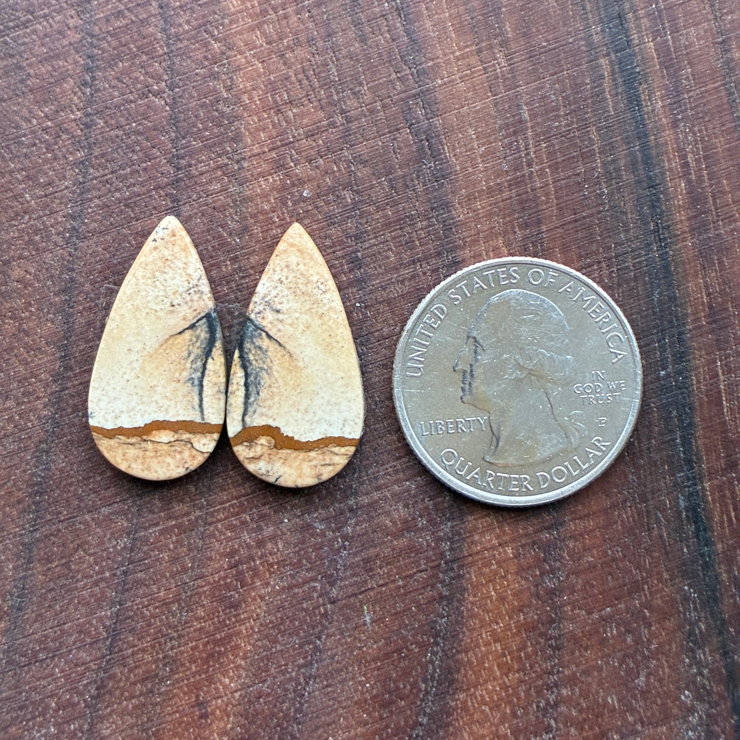 Picture Jasper - Cabochon Pair - Oval - Teardrop - Square - coffin