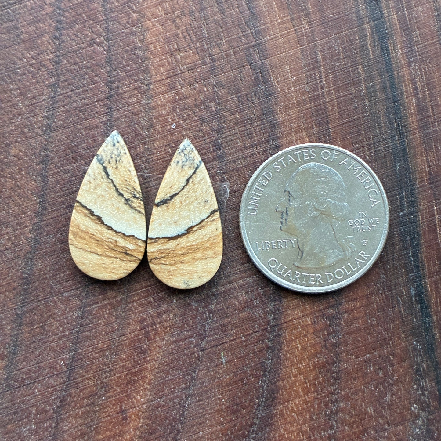 Picture Jasper - Cabochon Pair - Oval - Teardrop - Square - coffin