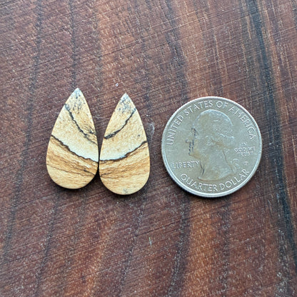 Picture Jasper - Cabochon Pair - Oval - Teardrop - Square - coffin