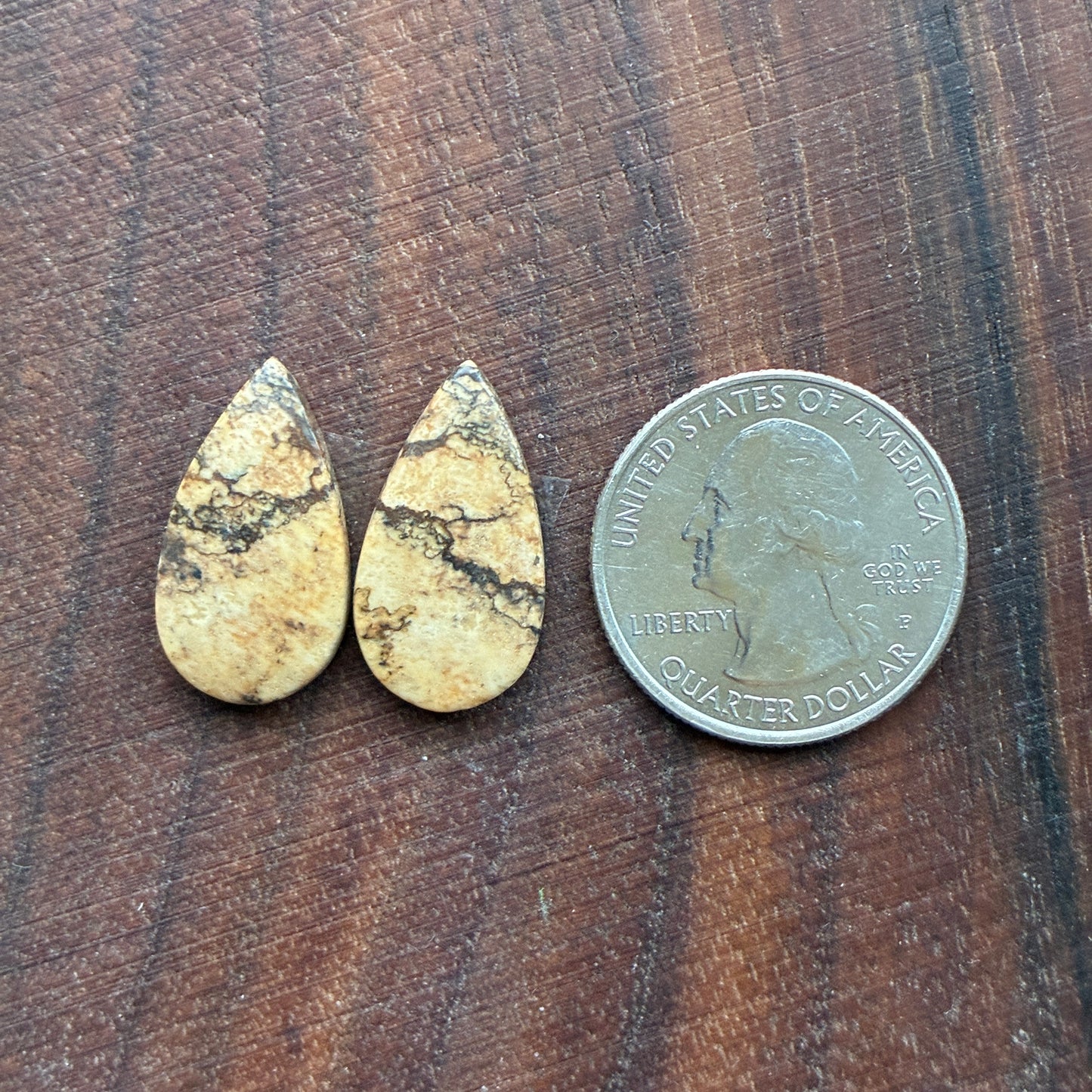 Picture Jasper - Cabochon Pair - Oval - Teardrop - Square - coffin