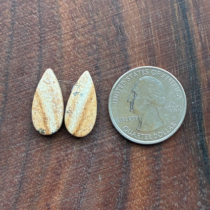 Picture Jasper - Cabochon Pair - Oval - Teardrop - Square - coffin
