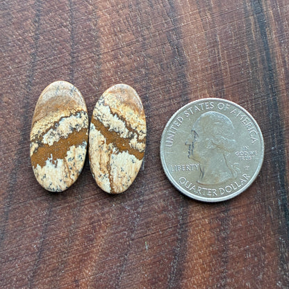 Picture Jasper - Cabochon Pair - Oval - Teardrop - Square - coffin