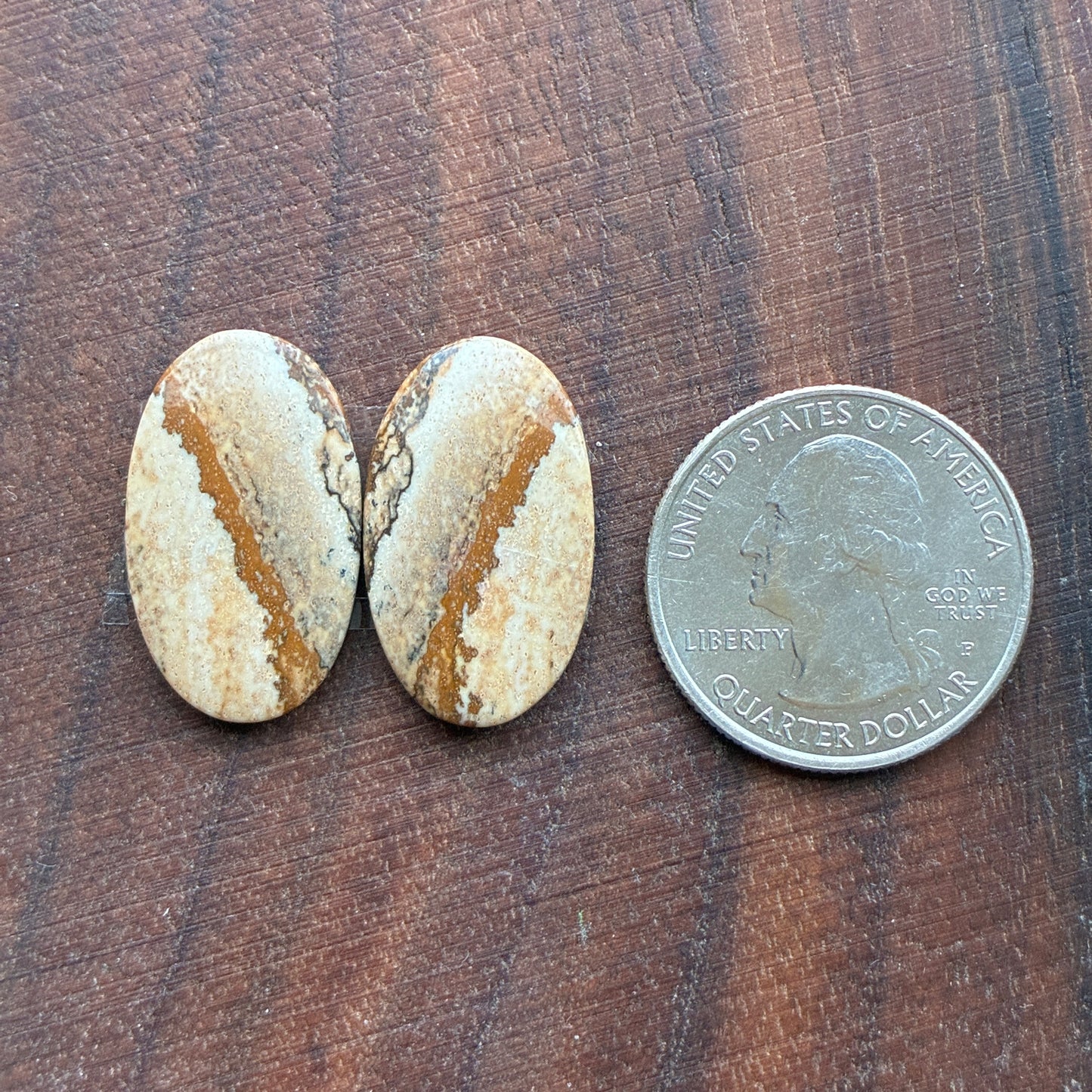 Picture Jasper - Cabochon Pair - Oval - Teardrop - Square - coffin