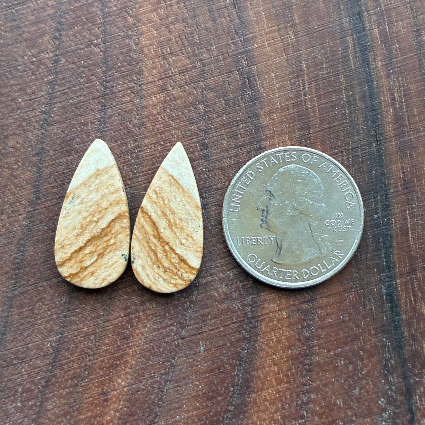 Picture Jasper - Cabochon Pair - Oval - Teardrop - Square - coffin