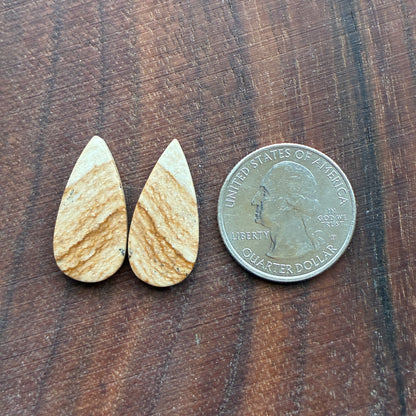 Picture Jasper - Cabochon Pair - Oval - Teardrop - Square - coffin