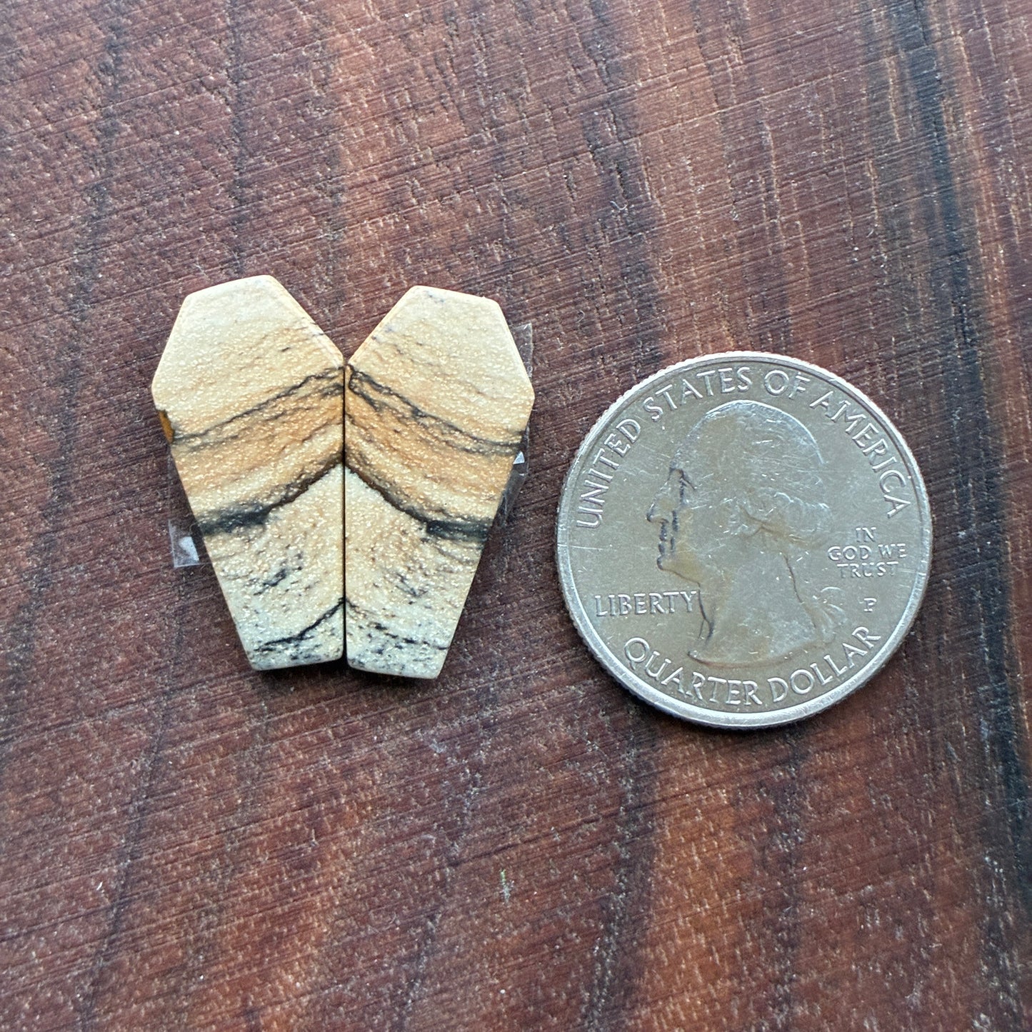 Picture Jasper - Cabochon Pair - Oval - Teardrop - Square - coffin