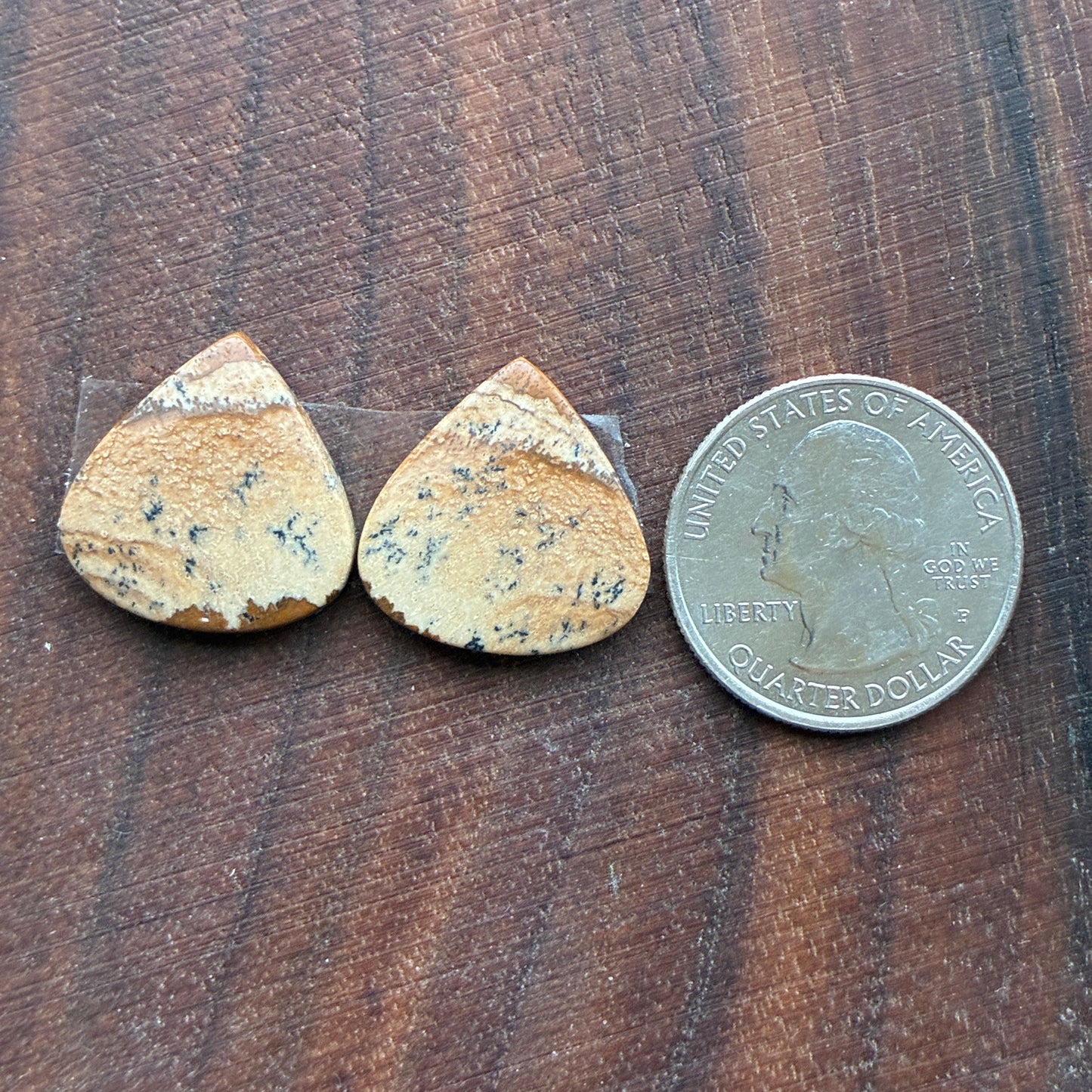 Picture Jasper - Cabochon Pair - Oval - Teardrop - Square - coffin