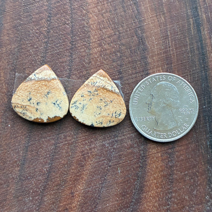 Picture Jasper - Cabochon Pair - Oval - Teardrop - Square - coffin