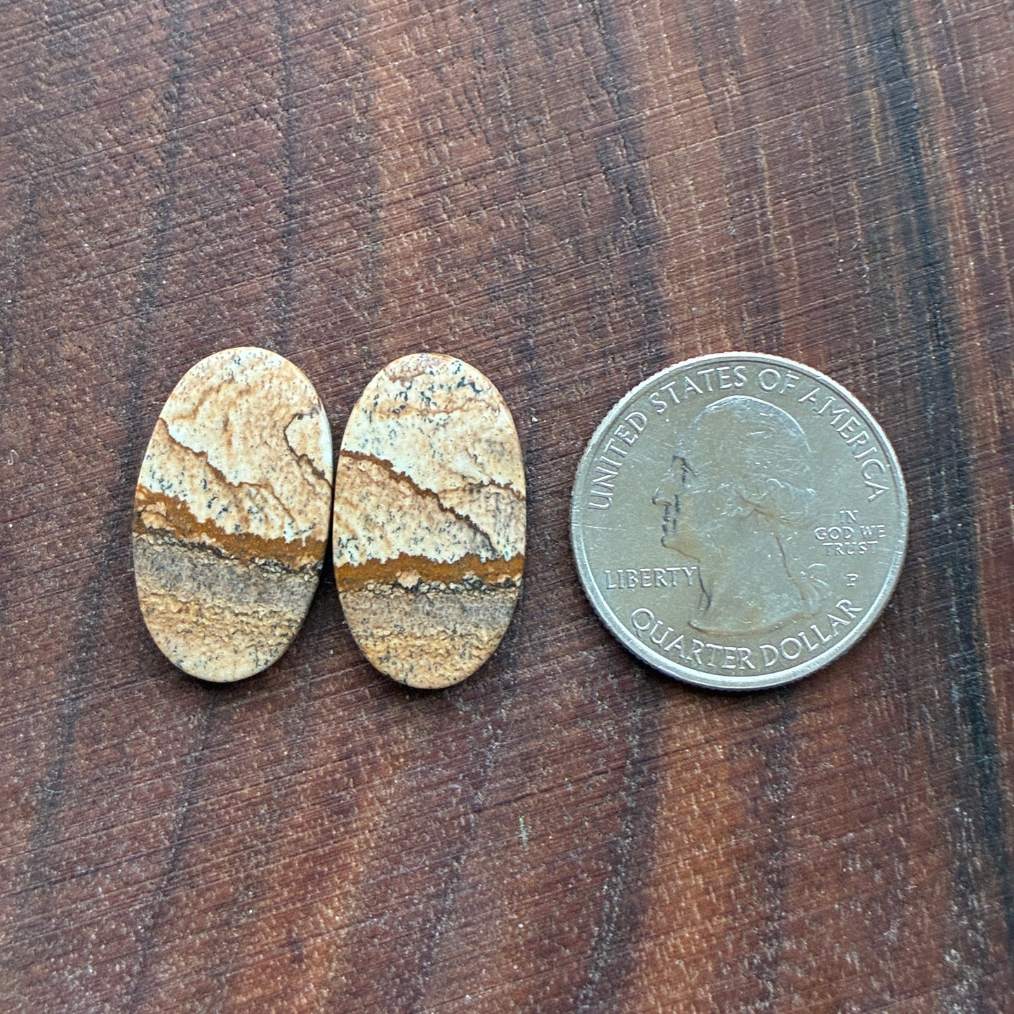Picture Jasper - Cabochon Pair - Oval - Teardrop - Square - coffin