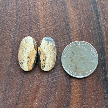 Picture Jasper - Cabochon Pair - Oval - Teardrop - Square - coffin
