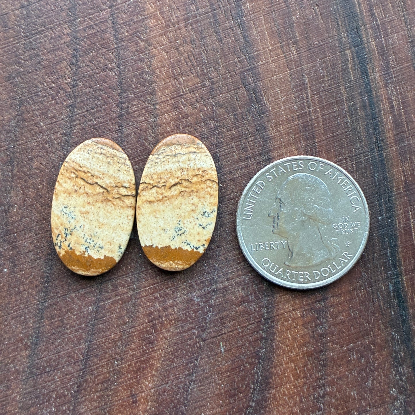 Picture Jasper - Cabochon Pair - Oval - Teardrop - Square - coffin