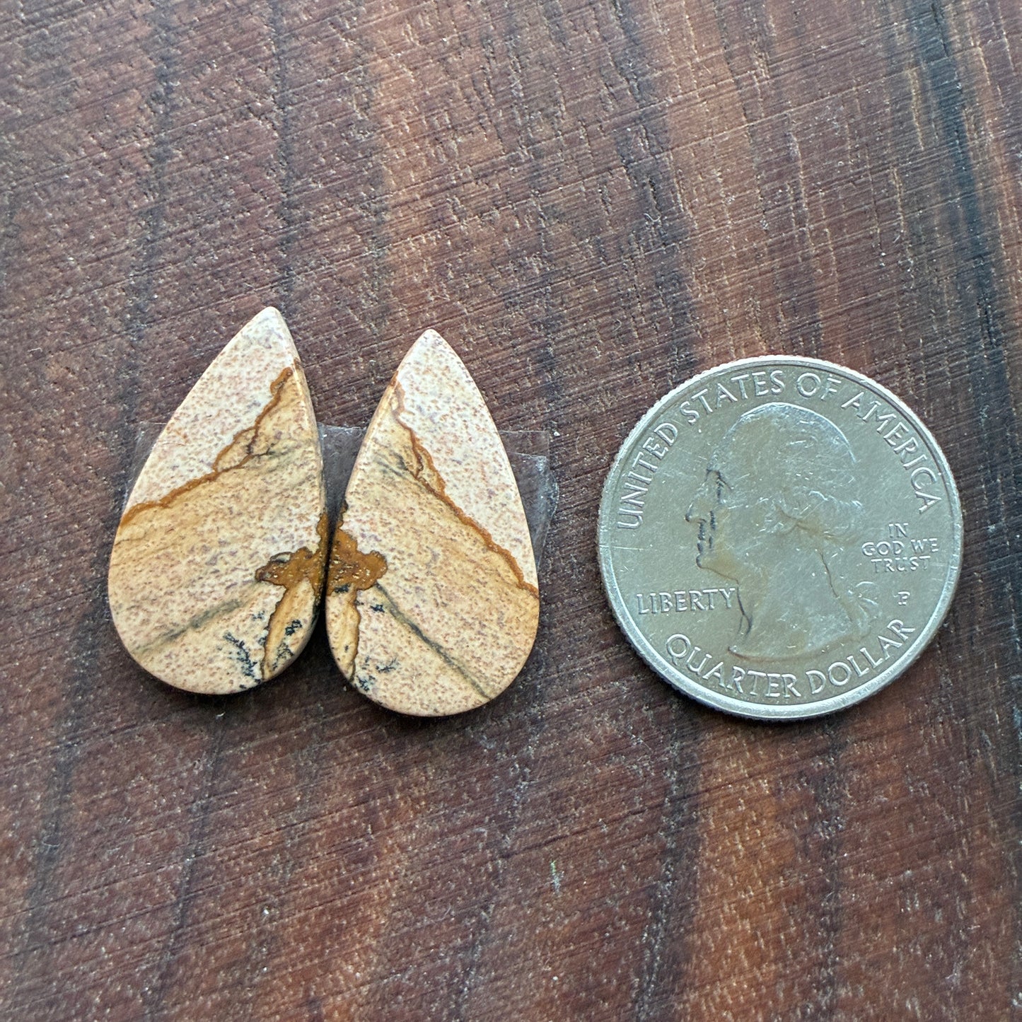 Picture Jasper - Cabochon Pair - Oval - Teardrop - Square - coffin
