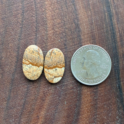 Picture Jasper - Cabochon Pair - Oval - Teardrop - Square - coffin
