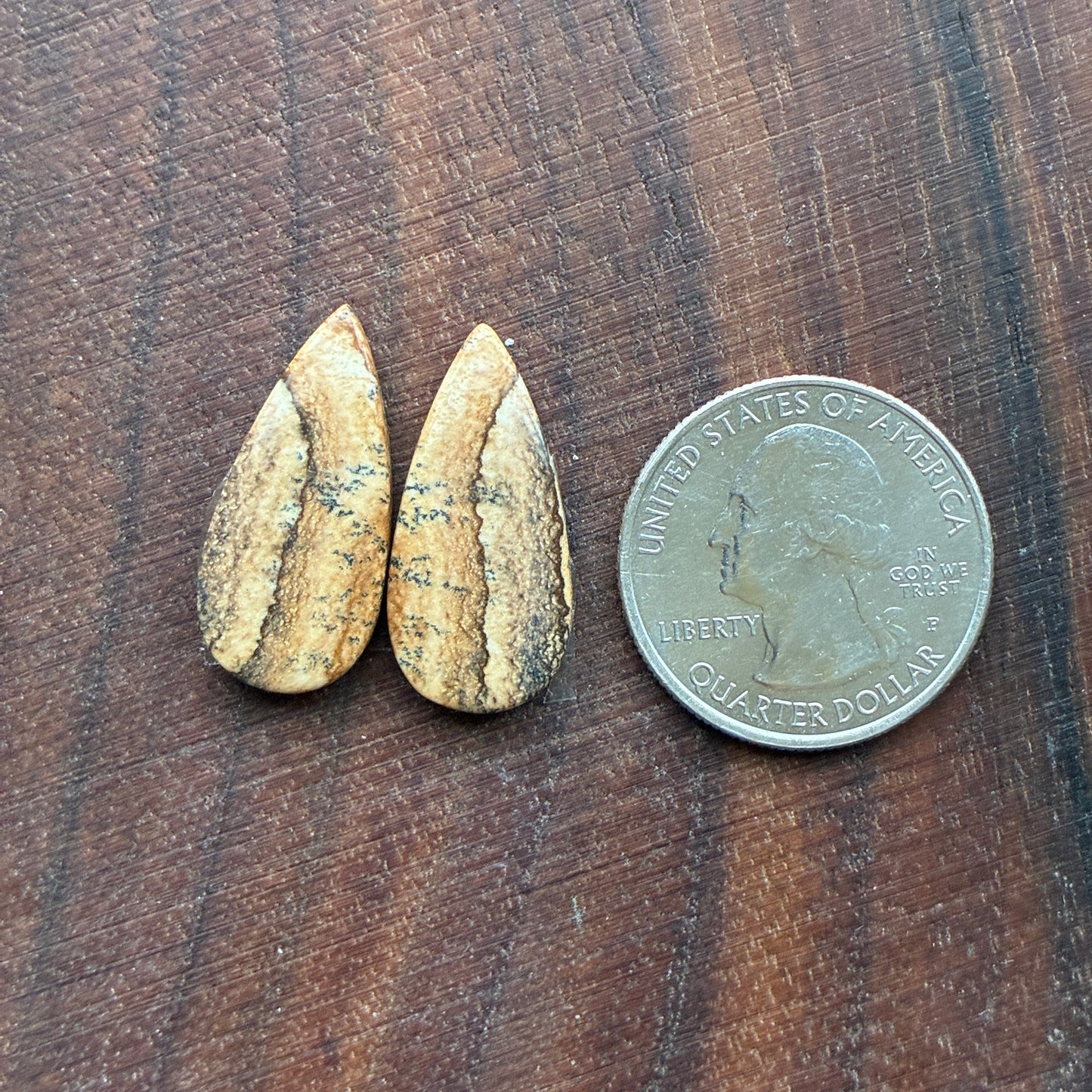 Picture Jasper - Cabochon Pair - Oval - Teardrop - Square - coffin