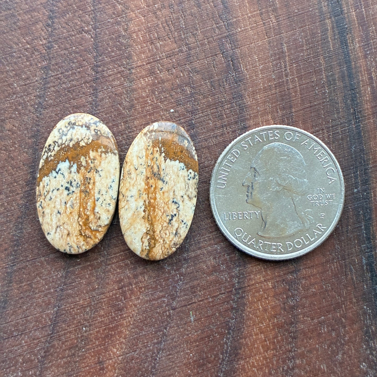 Picture Jasper - Cabochon Pair - Oval - Teardrop - Square - coffin